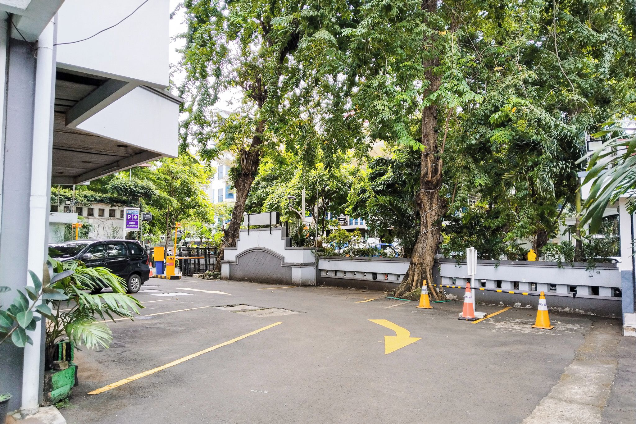 A parking area with a car, a tree, and a building in the background.