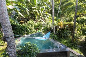 A hammock over a pool surrounded by lush greenery.