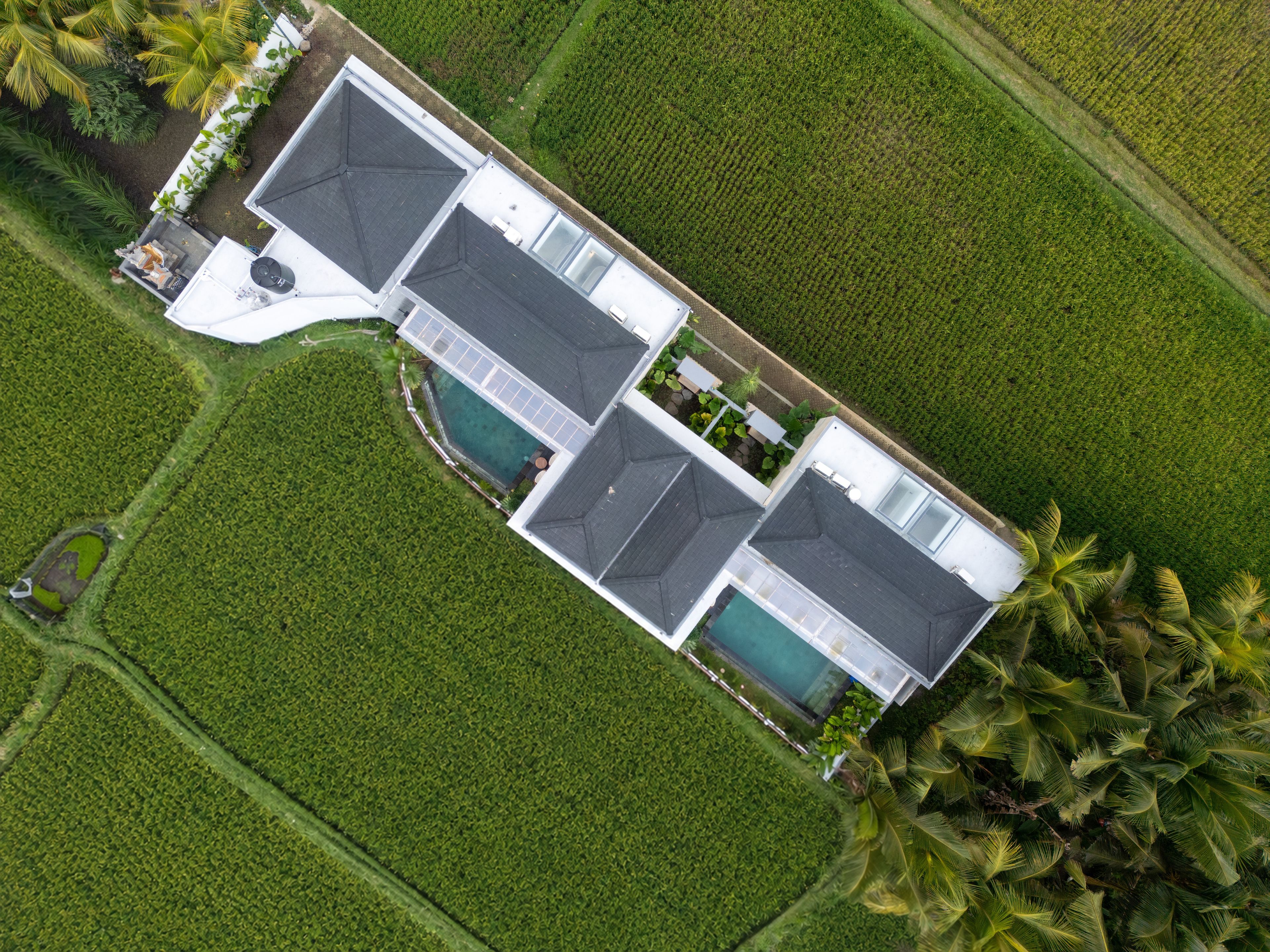 A modern house with a large swimming pool, surrounded by lush green fields and palm trees.