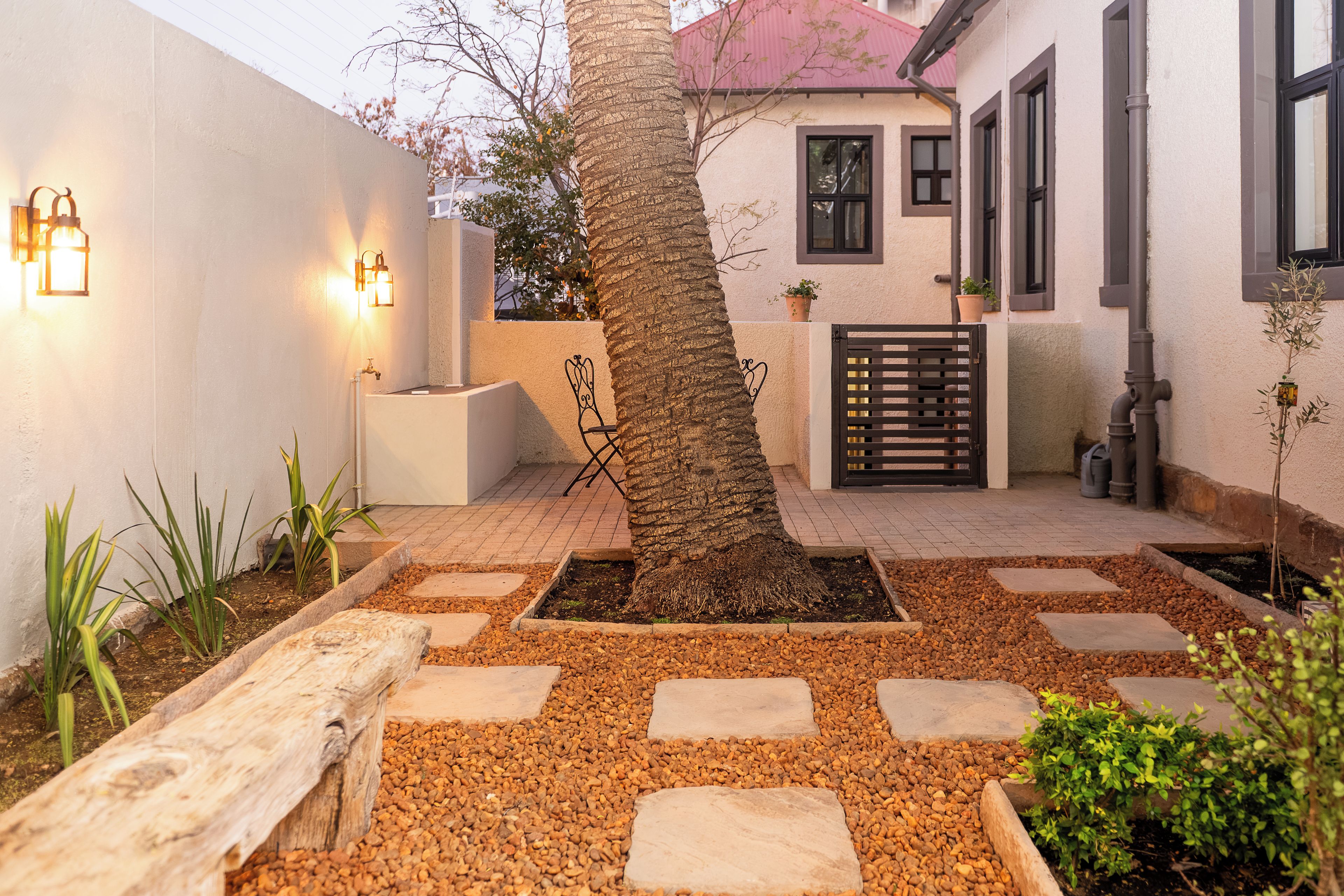 Un patio con una palmera, piedras y un banco.