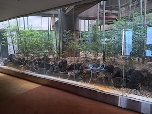 Un recinto de cristal con una exhibición de rocas y plantas, posiblemente parte del interior de un edificio.
