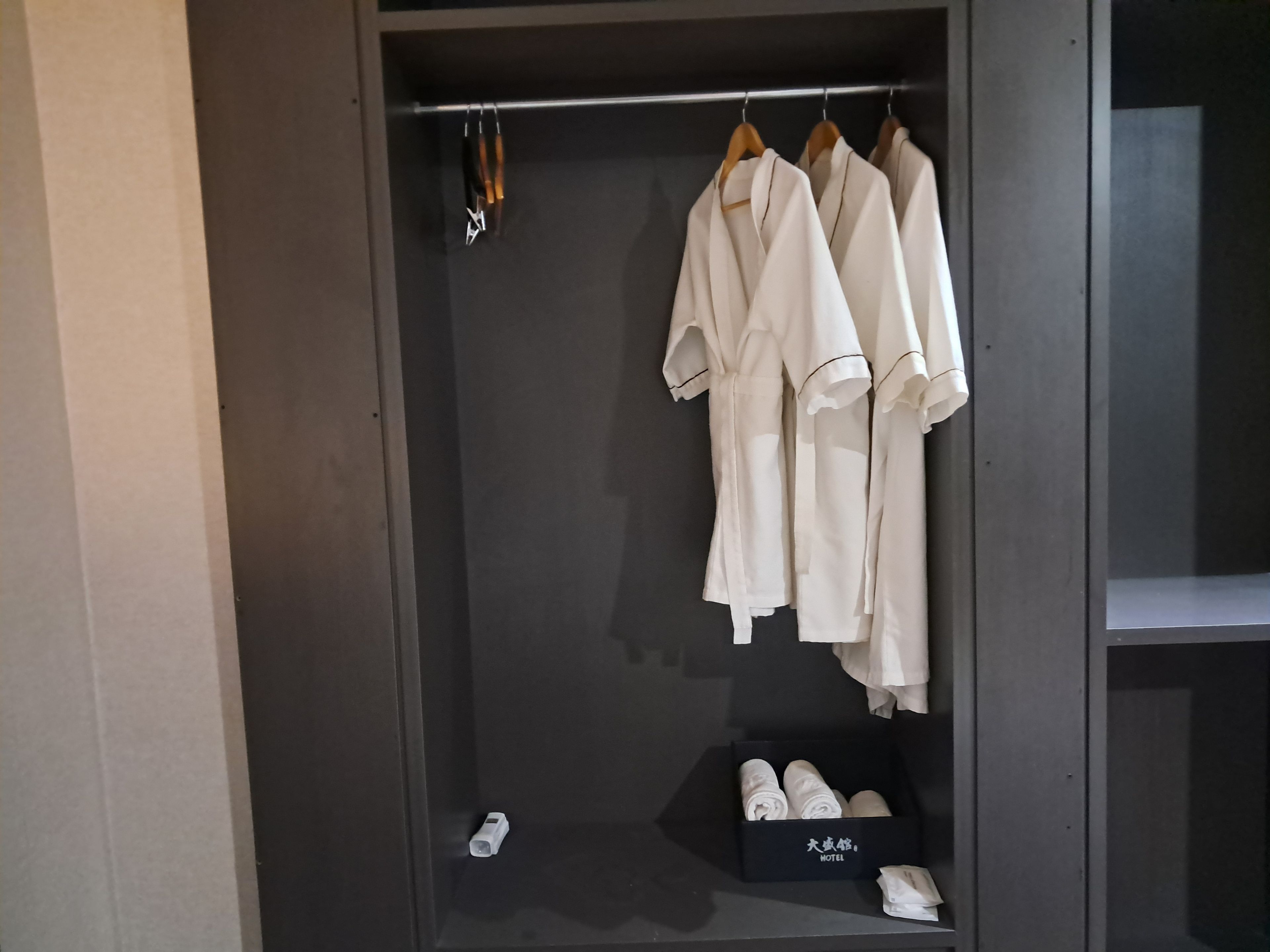 A wardrobe with hanging robes and a pair of shoes on the floor.