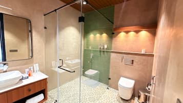 Un baño moderno con ducha envuelta en vidrio, tocador con lavabo e inodoro.