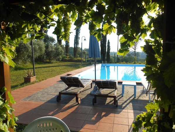 A swimming pool with lounge chairs and a pergola with vines.