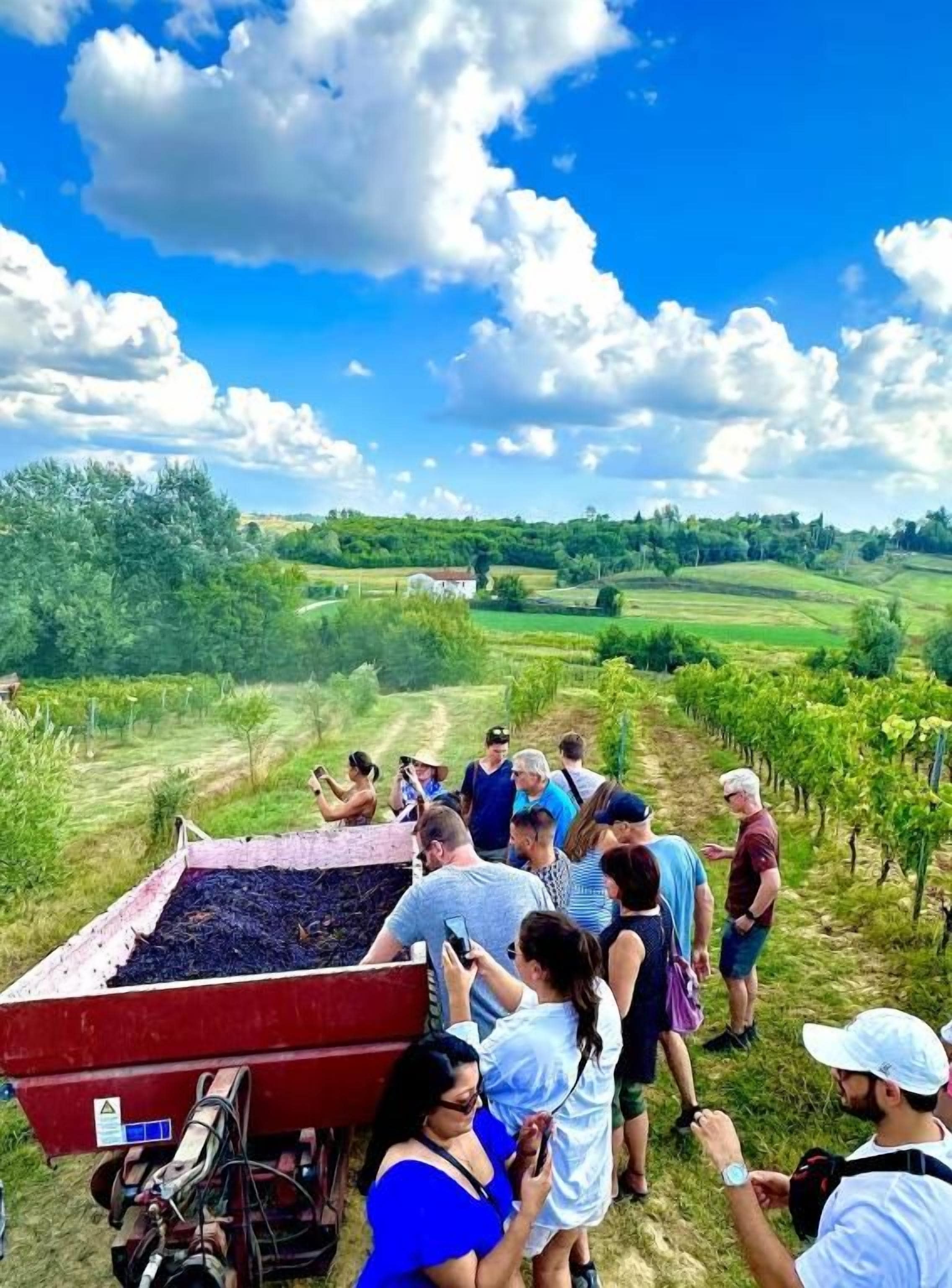 Un groupe de personnes observe un vignoble, et on aperçoit une remorque rouge remplie de ce qui semble être des raisins.