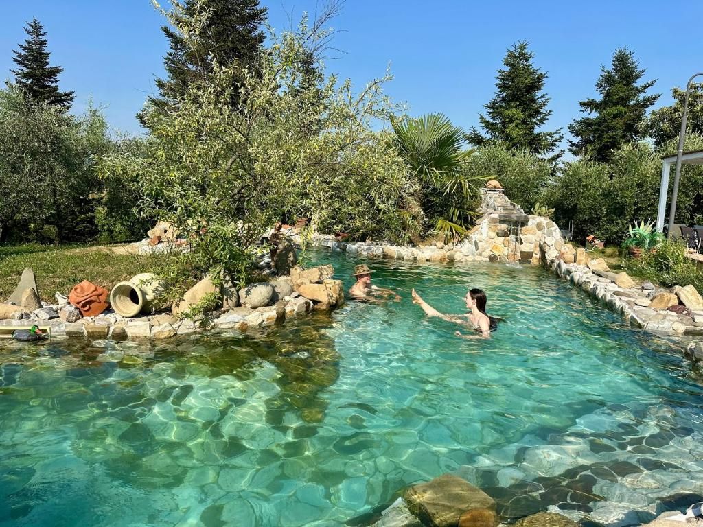 Una piscina exterior cristalina rodeada de rocas y árboles.