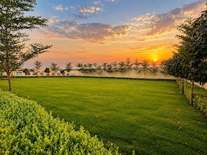 A well-maintained grassy area with trees and a clear sky. - Hotel BM Residency (Phalodi)