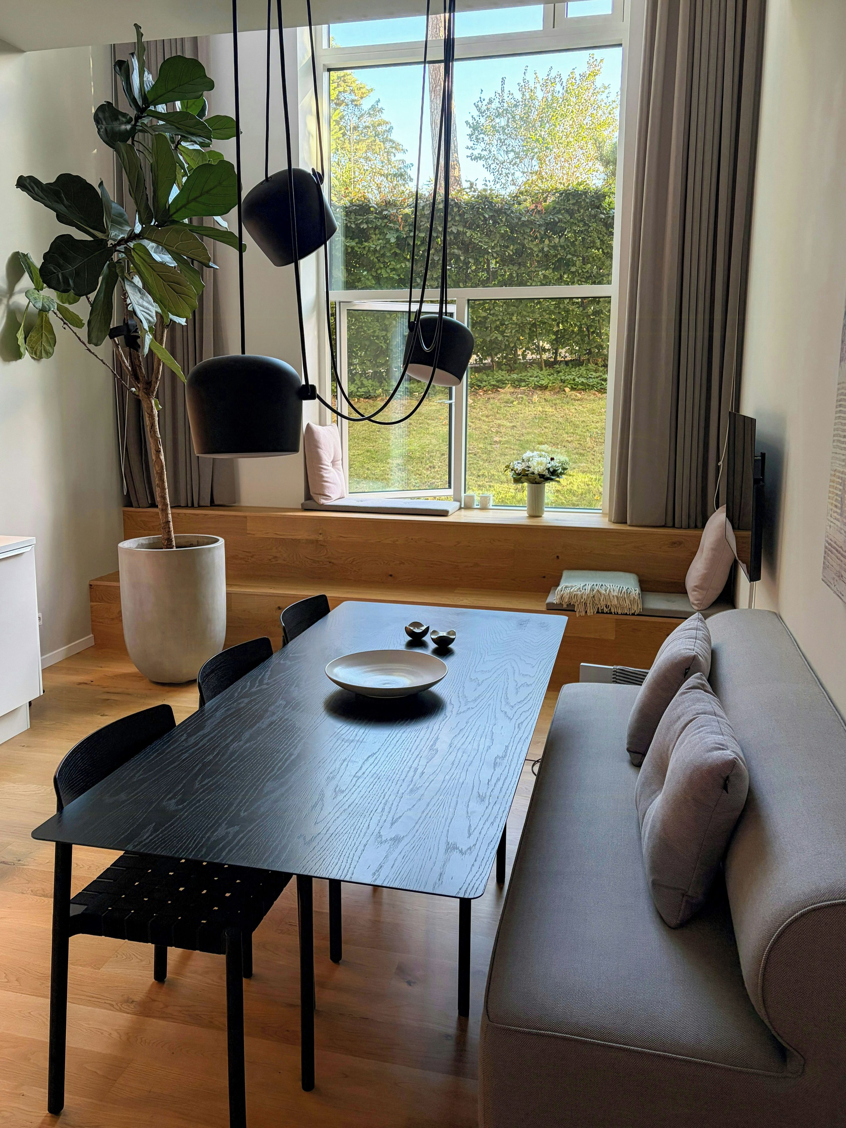 A modern dining area with a wooden table, black chairs, and a grey sofa. A large potted plant is on the left, and a window with curtains is in the background.