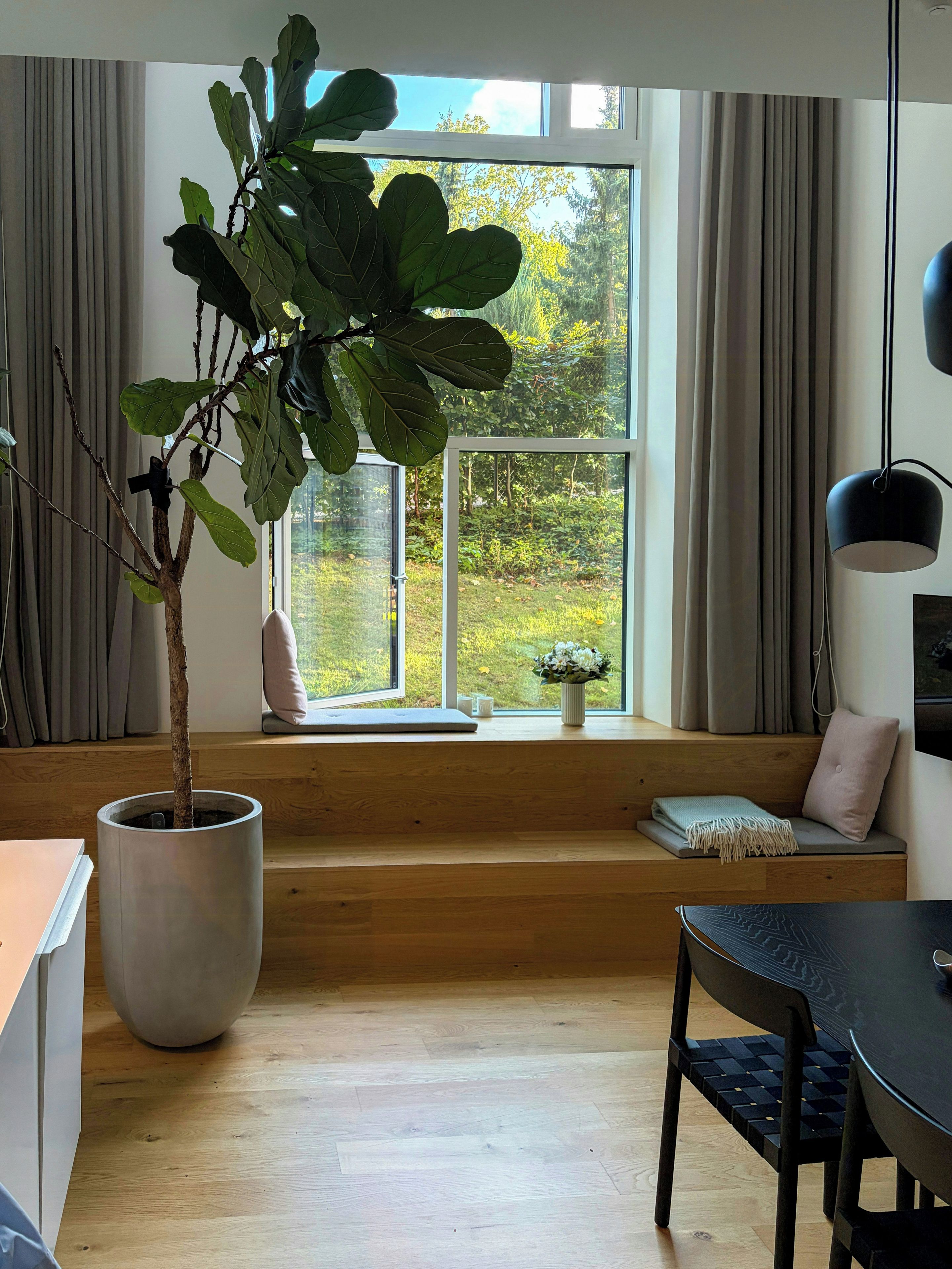 A modern living room with a large window, a potted plant, a sofa, and a dining table.