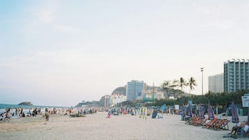 Una playa con hileras de sillas y sombrillas, una orilla arenosa y edificios al fondo.