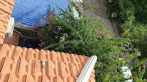 A terracotta roof with a white gutter, a blue corrugated metal wall, and a flowering bush.
