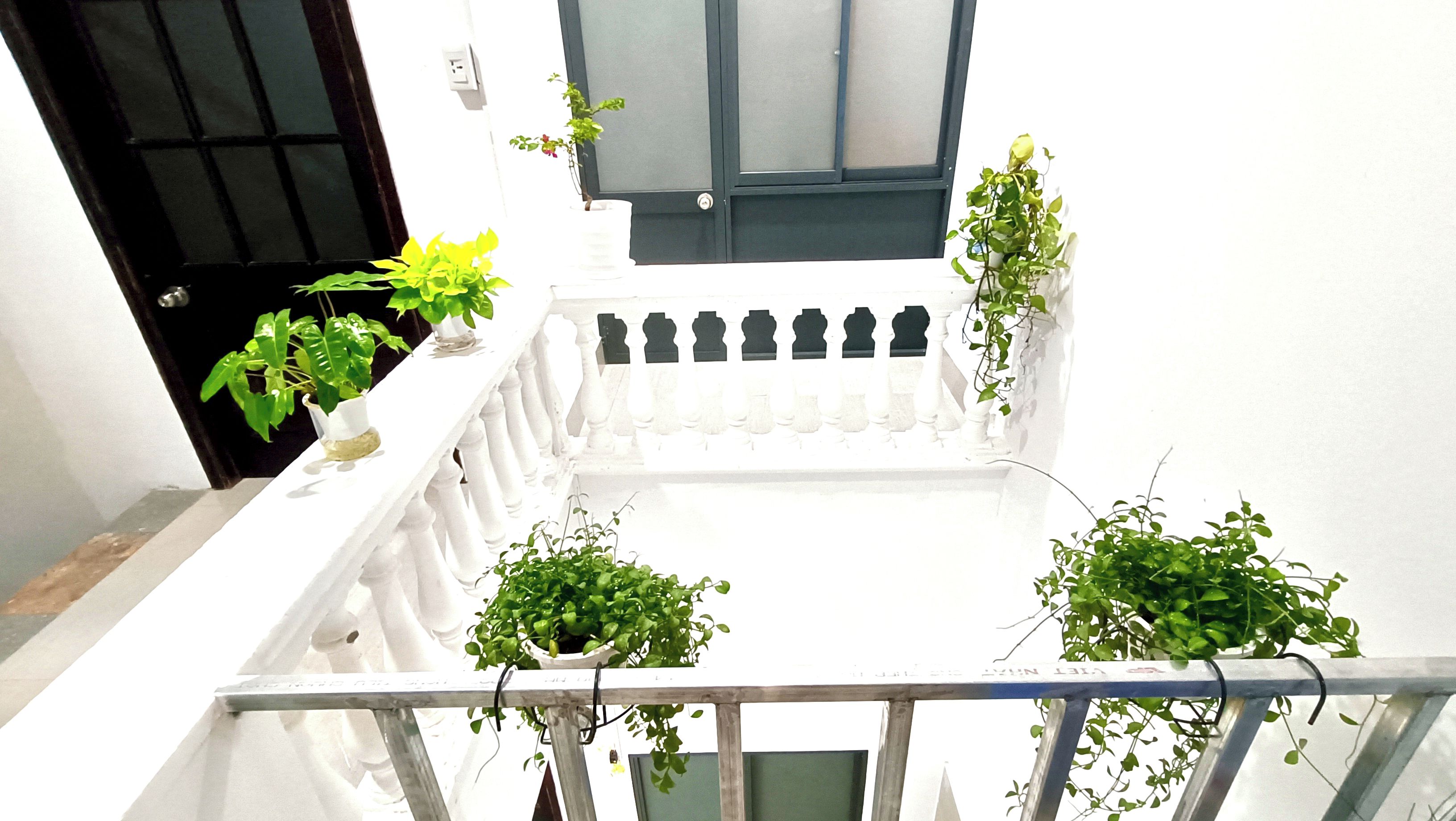 A white balcony with potted plants and a white railing.