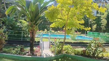 A garden with a pool, a palm tree, and a pathway leading to a building.