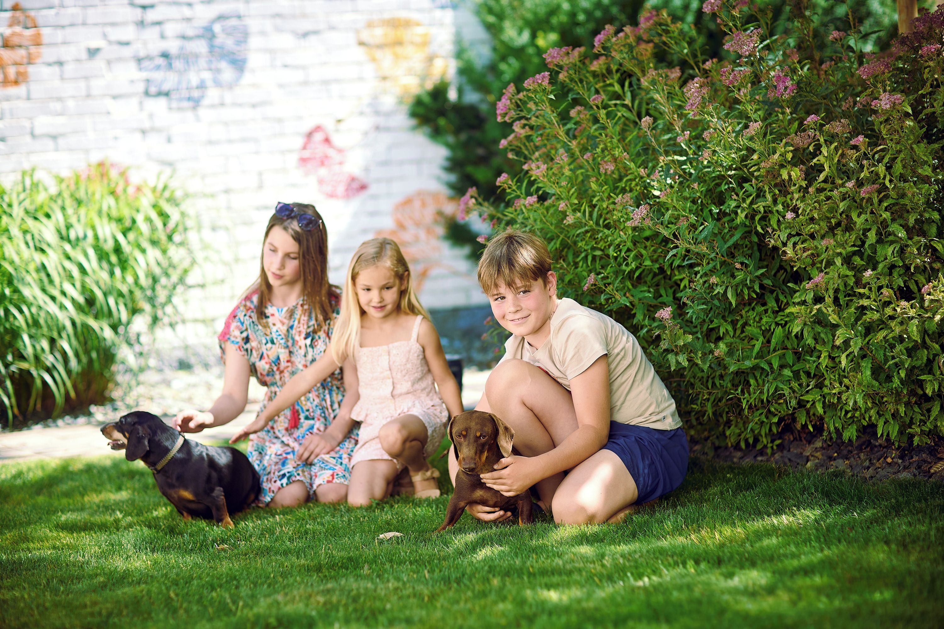 Three children sitting on grass with a dog, in front of a brick wall with a mural.