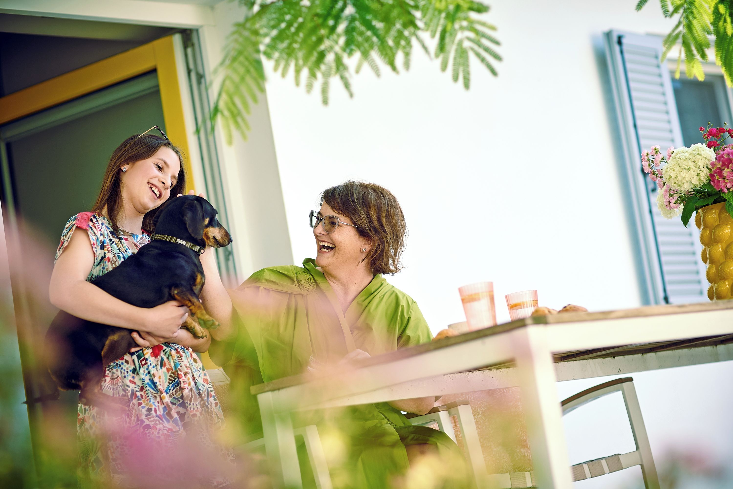 A person holding a dog, a table with items on it, and a window with blinds.