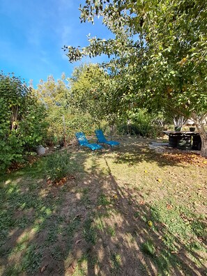 Een terras met blauwe stoelen onder een boom, omgeven door groen en een heldere lucht.