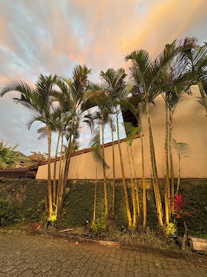 A building with a white exterior and a brick base, surrounded by palm trees and greenery.