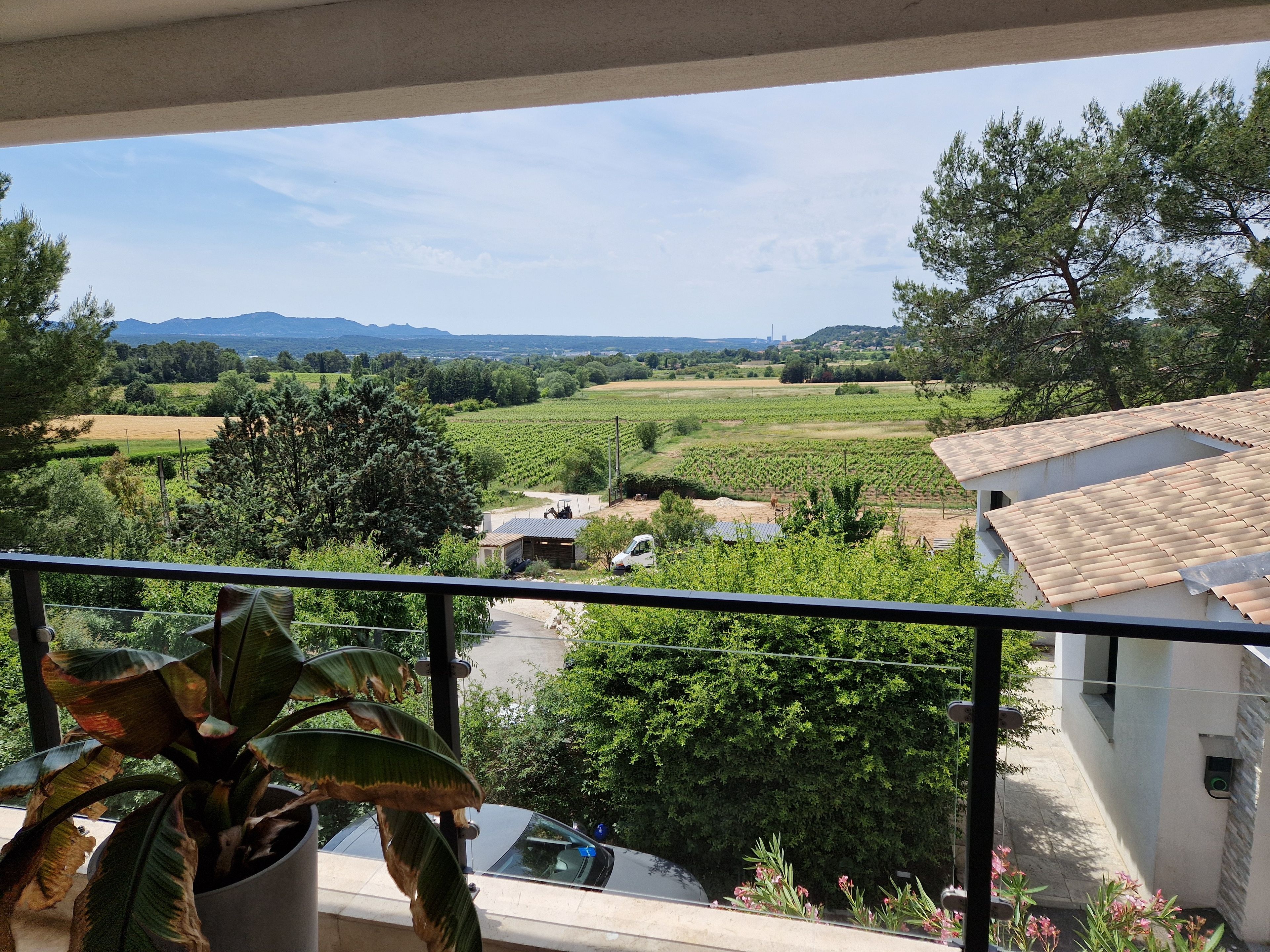 A balcony with a view of vineyards, a potted plant, and a building with a tiled roof.