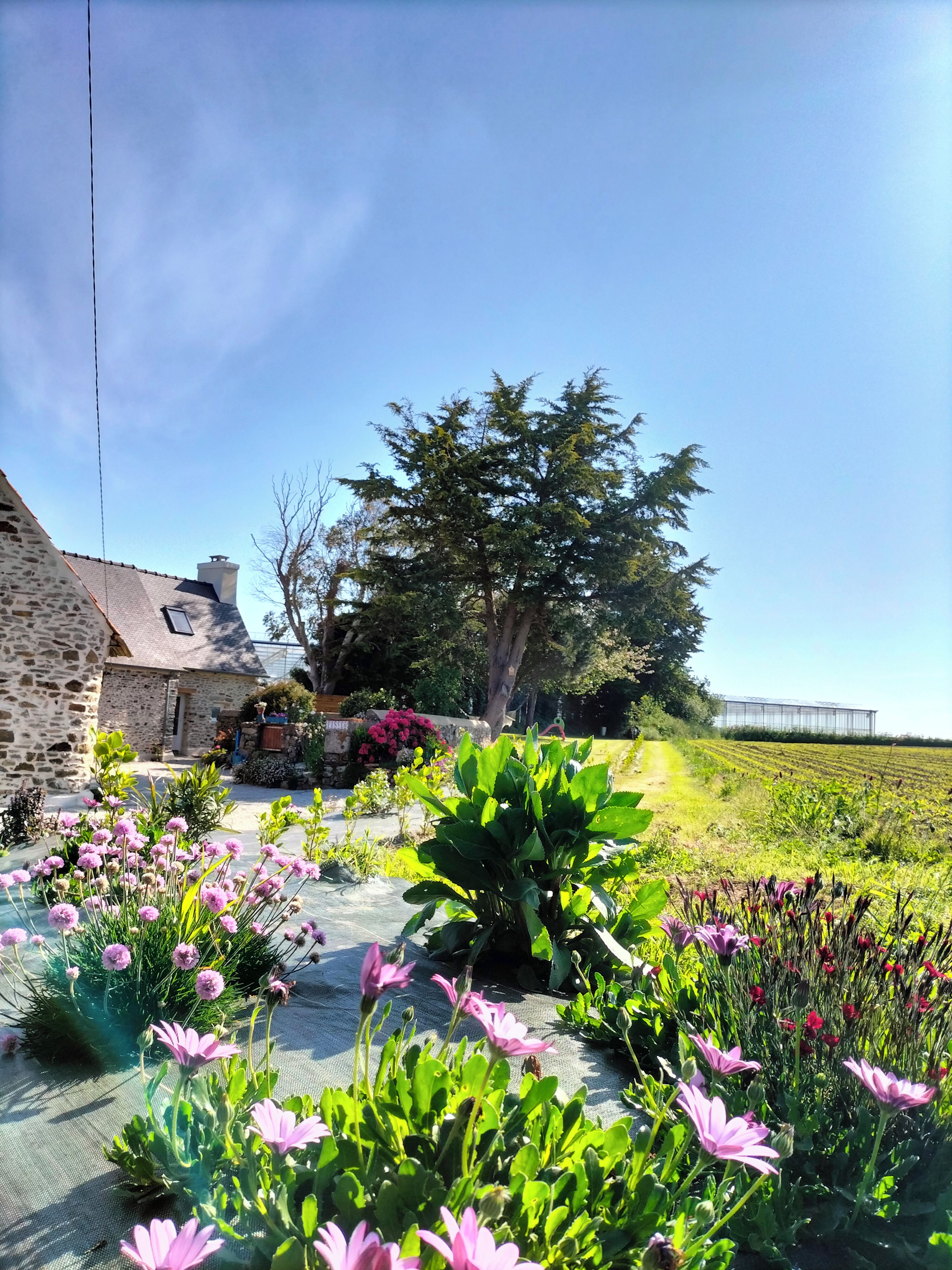 A stone building with a garden in front, a tree, and a greenhouse in the background.