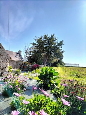 Property grounds - The Finvéo vacation rental, a peaceful countryside retreat in Lézardrieux (Lézardrieux)