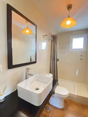 A bathroom with a white sink, a mirror, a toilet, and a shower.