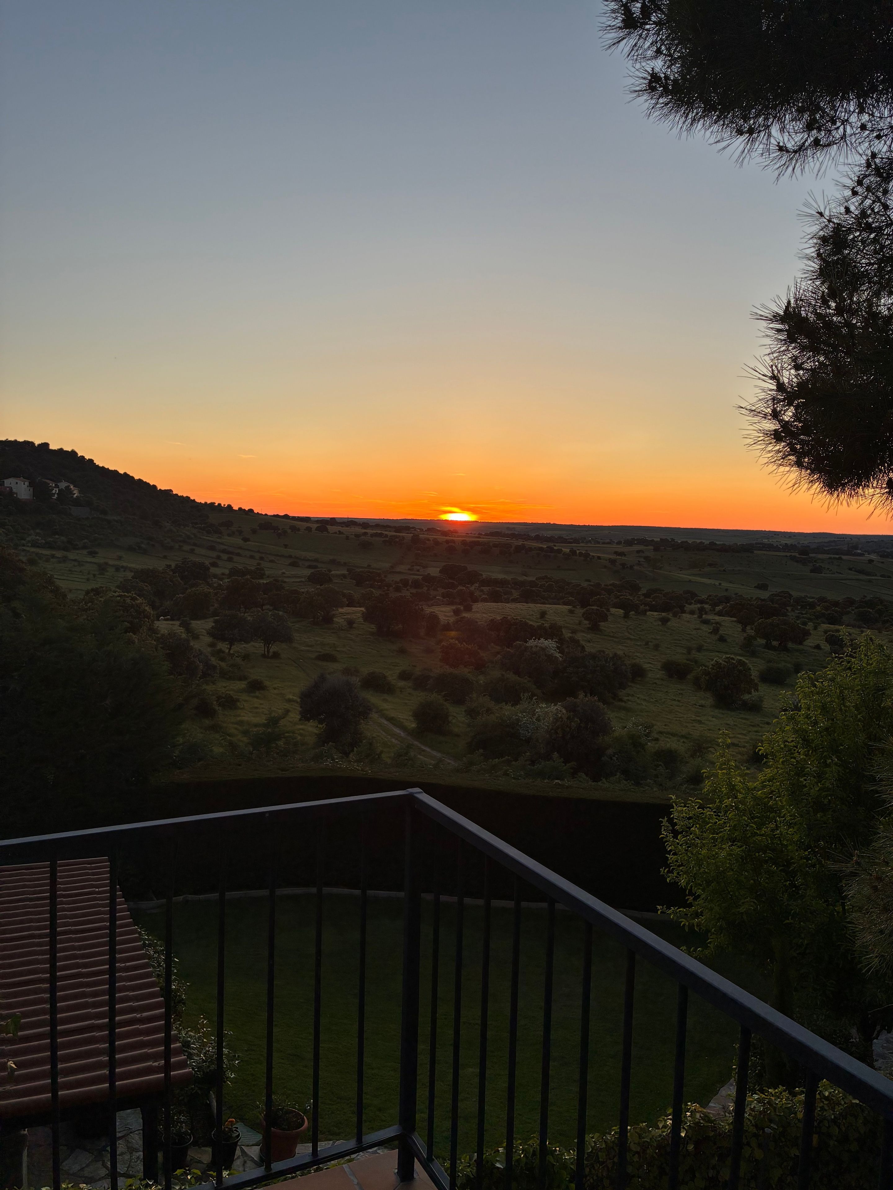A sunset view from a balcony overlooking a grassy landscape with a building in the distance.