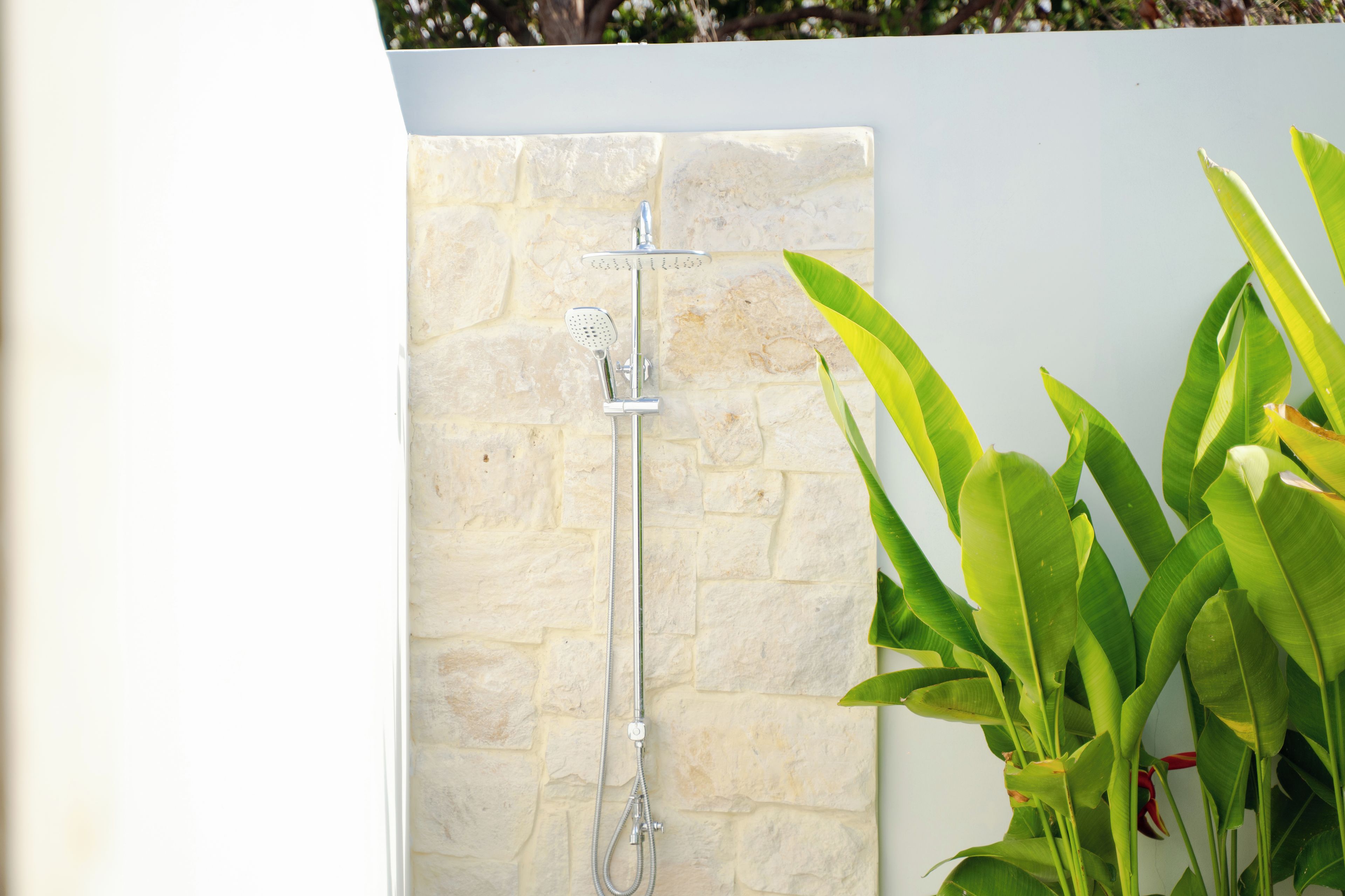 Ducha con pared de piedra de fondo y una planta a la derecha.