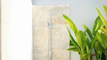 Ducha con pared de piedra de fondo y una planta a la derecha.