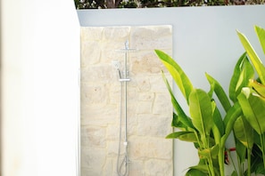 Ducha con pared de piedra de fondo y una planta a la derecha.