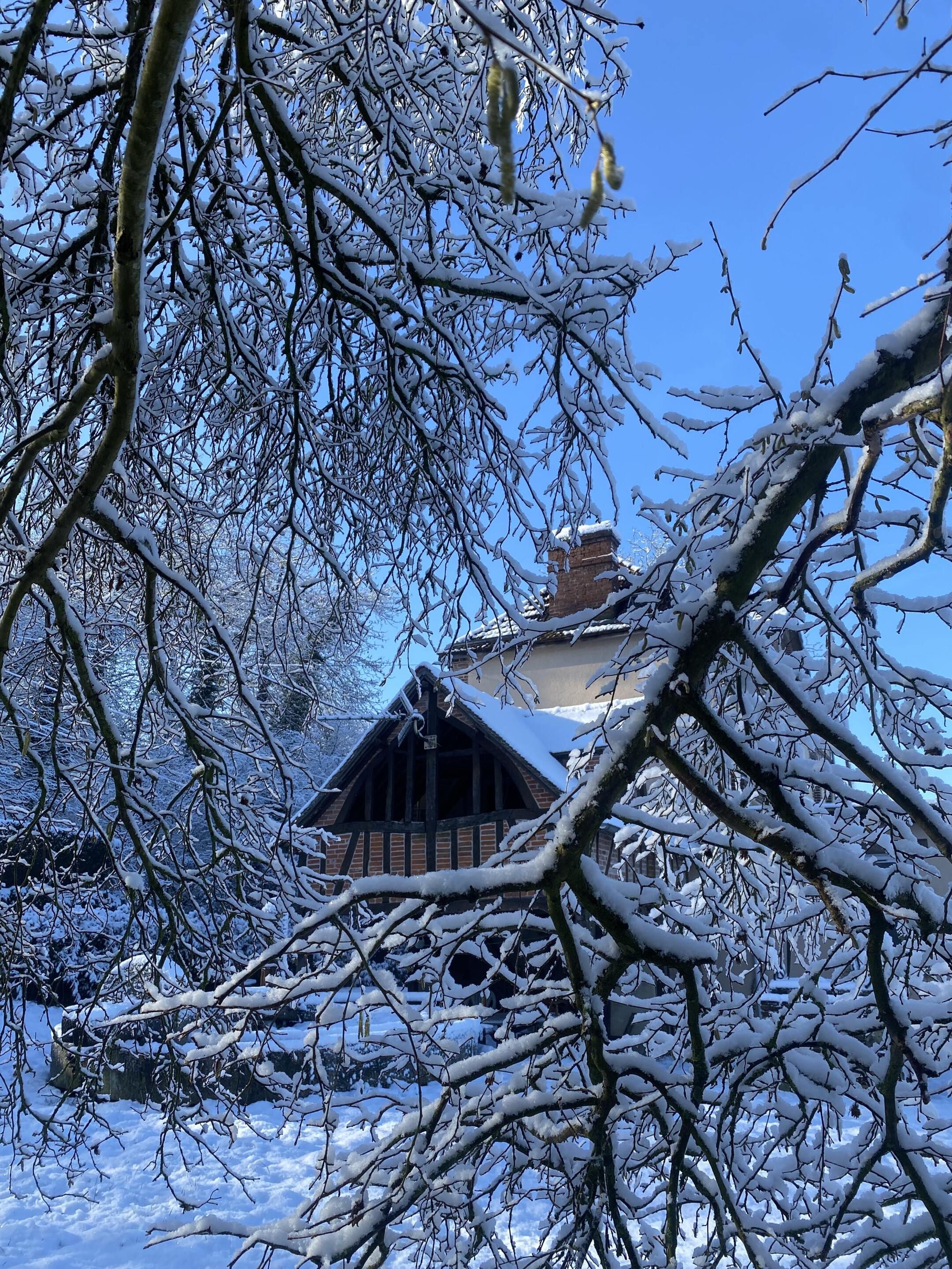 Un bâtiment enneigé, de conception traditionnelle, entouré d’arbres aux branches nues.