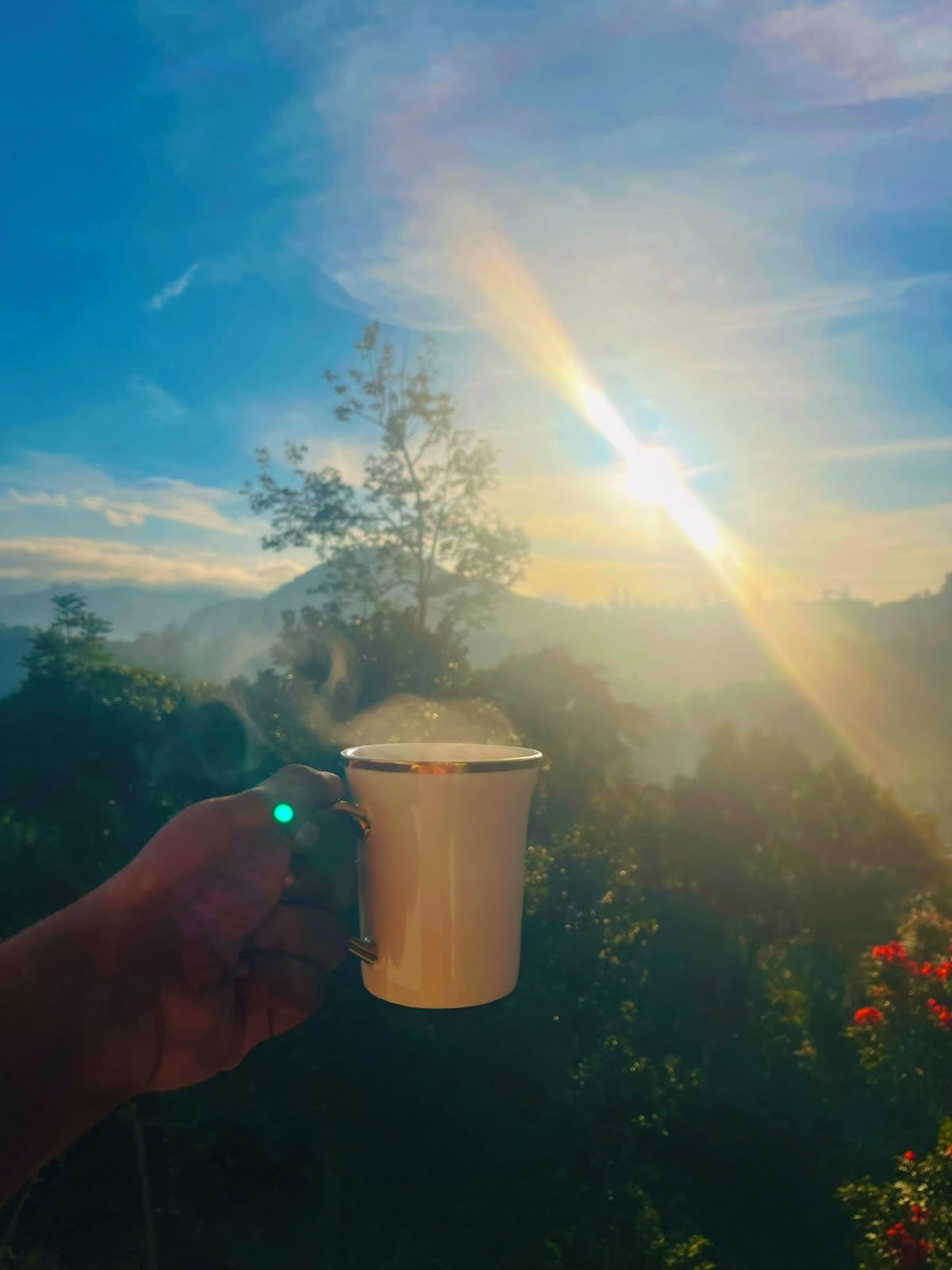 Una mano sostiene una taza con tapa transparente, con un paisaje montañoso y un amanecer de fondo.