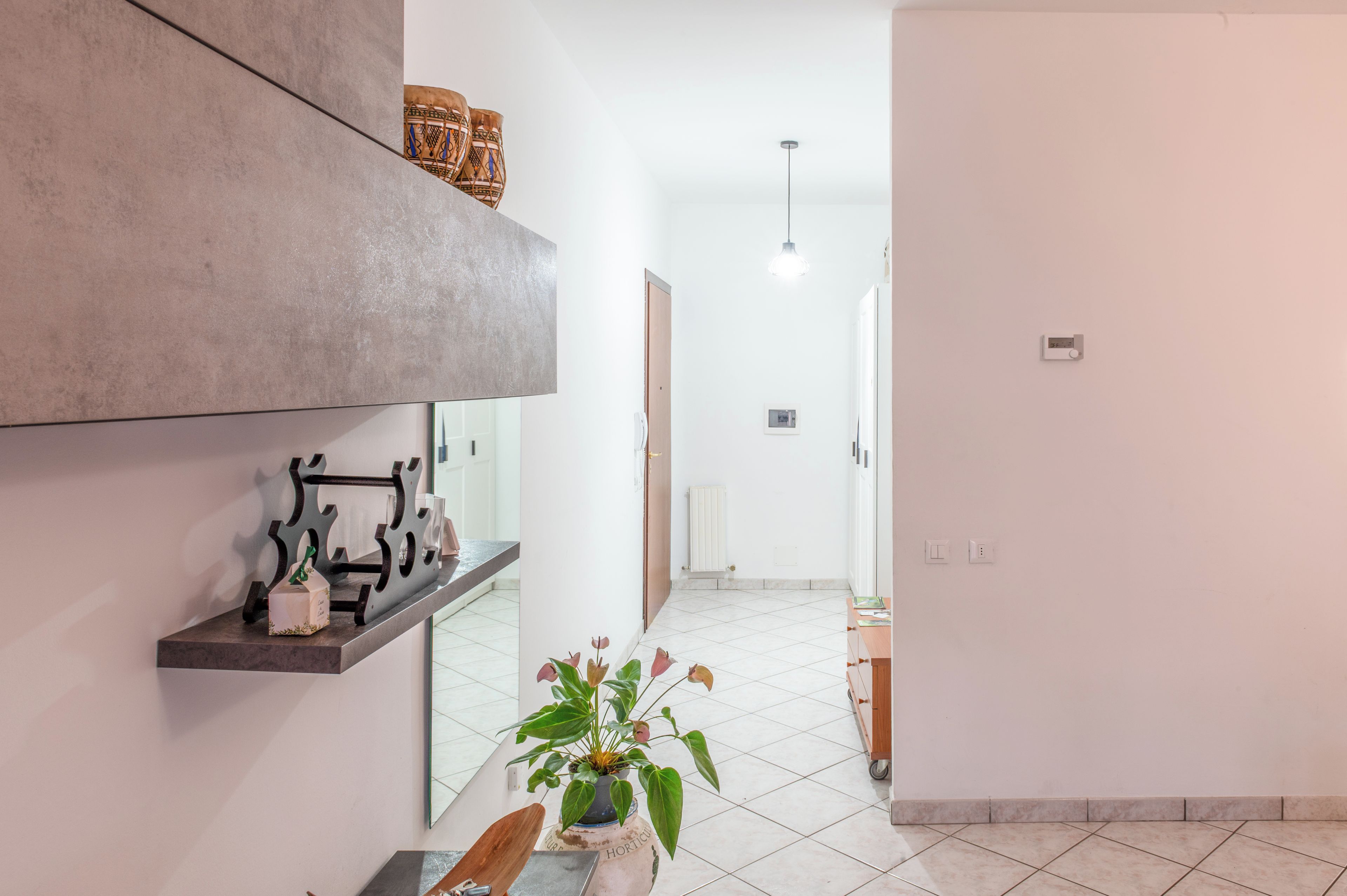 A modern interior with a kitchen counter, a potted plant, and a hallway leading to a door.