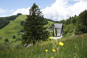 A mountain lodge with a large tree in the foreground, surrounded by lush greenery and a clear sky.