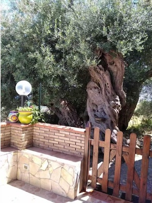 Parco della struttura