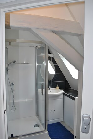 A modern bathroom with a glass shower enclosure, a sink, and a mirror.