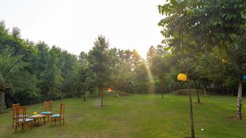 An outdoor seating area with chairs and a table, surrounded by trees and grass.