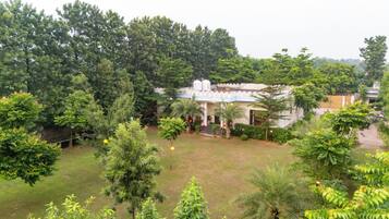 A building surrounded by lush greenery, with a well-maintained lawn and a variety of trees.