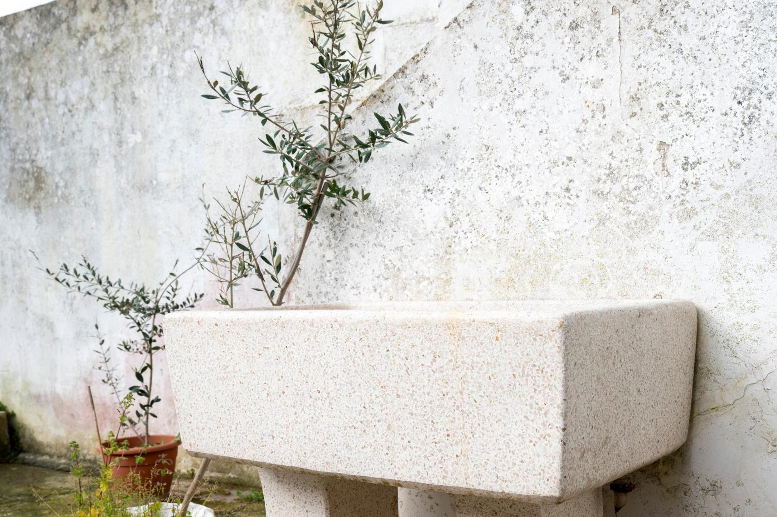 A stone planter with a plant against a textured wall.