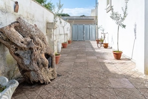 Une cour avec un grand tronc d’arbre, des plantes en pot et un vélo.
