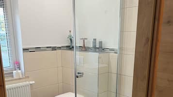 A modern bathroom with a glass shower enclosure, a toilet, and a radiator.