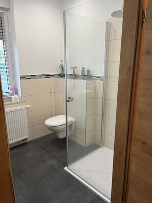 A modern bathroom with a glass shower enclosure, a toilet, and a radiator.