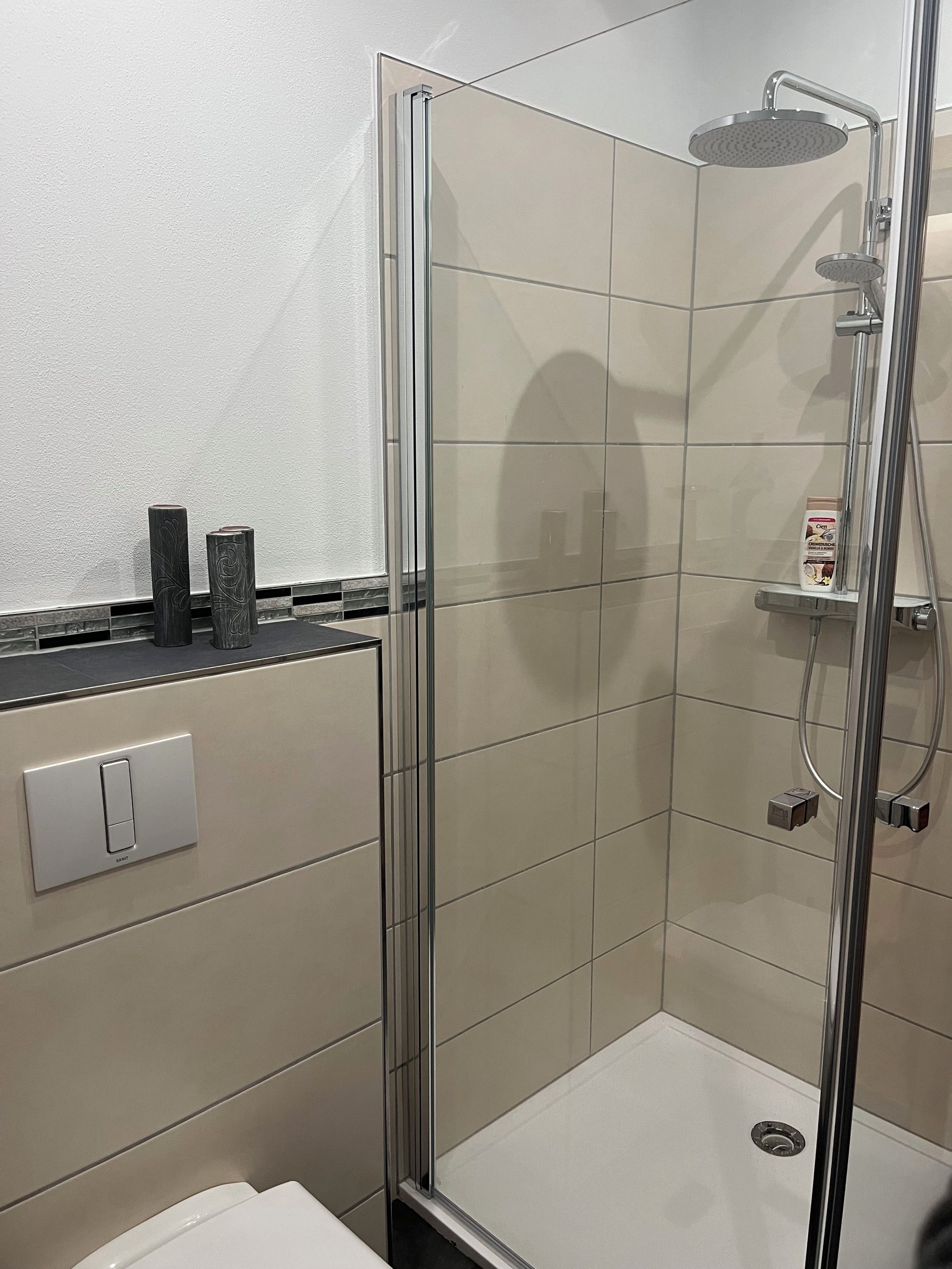 Eine begehbare, gläserne Dusche mit Handbrause und Wandarmatur.