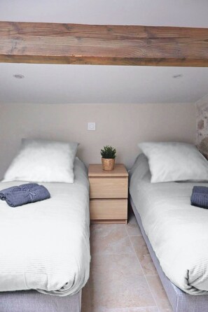 A twin room with two beds, a small bedside table with a plant, and a light-colored wall. - 16097522 FRGK 5-Apartment Building - Downtown Cannes - Conference Special - 47 rue Meynadier (Cannes)