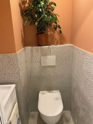Ein kleines Badezimmer mit Toilette, einem Handtuchhalter und einer Topfpflanze.