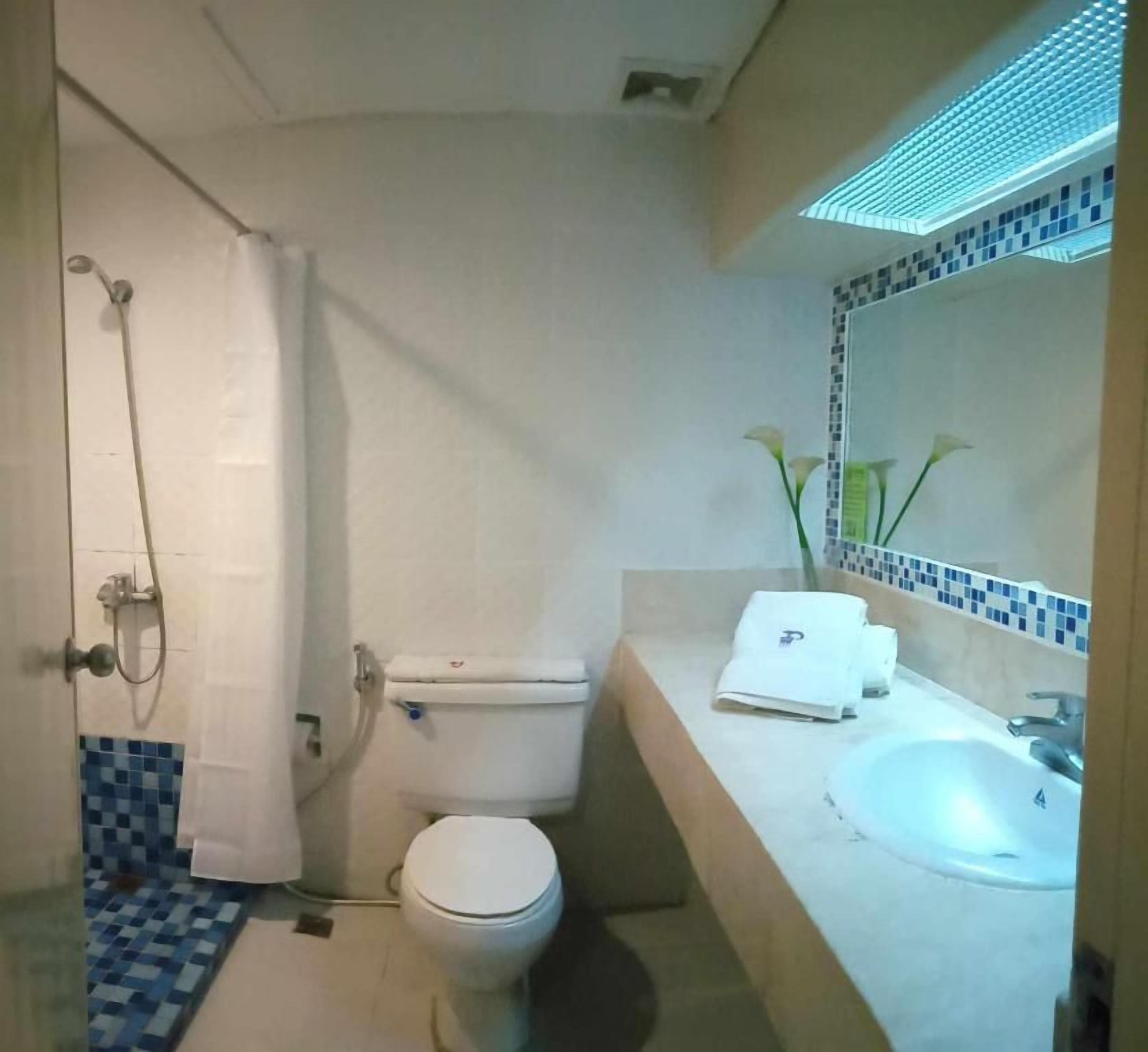Un baño con ducha, inodoro, lavabo y espejo.
