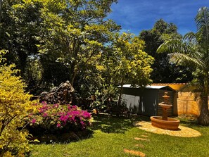 Un jardín con una fuente, un cobertizo y diversas plantas.