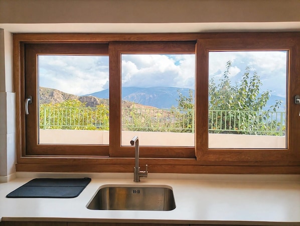 A kitchen with a sink and two windows offering a view of a mountainous landscape.