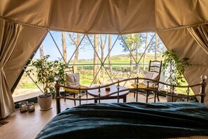Une tente équipée d’un lit, de deux chaises, d’une table et de plantes en pot.