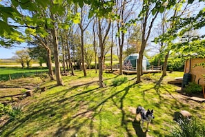 A grassy outdoor area with trees, a dog, and a small building. - Dog-Friendly Glamping Dome for 4 · Private Copse · Walk to Blue Anchor Beach (Blue Anchor)