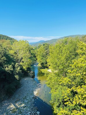 Ein Fluss fließt durch ein dicht bewaldetes Gebiet mit Hügeln im Hintergrund.